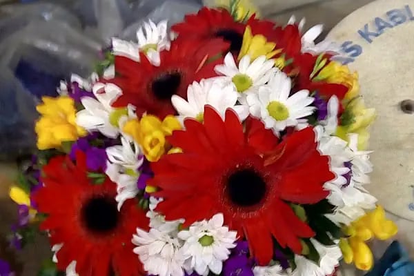Orient Flora Uluslararası Çiçekçilik - Resim 18