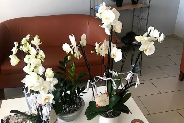 Dr. Burak Önvural, Spor Yaralamaları ve Ortopedi Kliniği - ONVortho Orthopedic Clinic Turkey - Resim 9