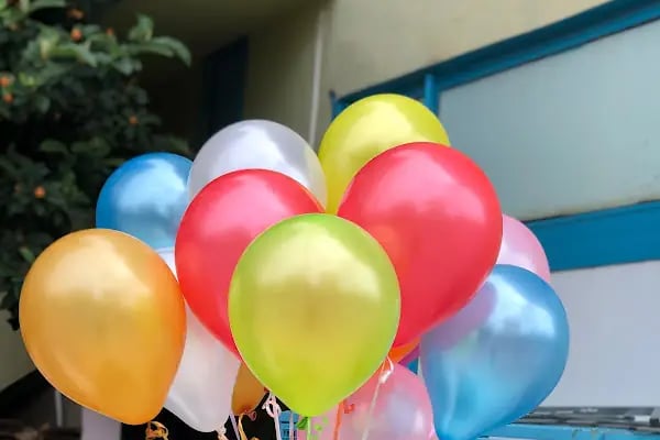 Alanya Çiçekçisi Hasbahçe Çiçekçilik - Resim 8