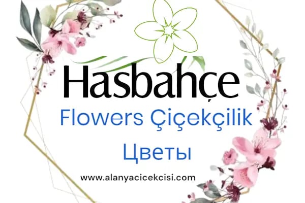 Alanya Çiçekçisi Hasbahçe Çiçekçilik - Resim 10