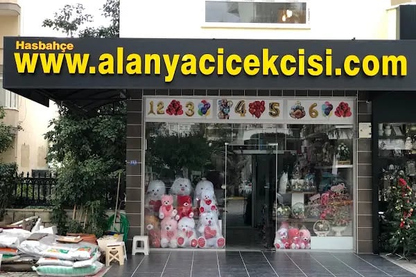 Alanya Çiçekçisi Hasbahçe Çiçekçilik - Resim 2