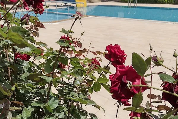 Nature 1 Sitesi - Resim 14