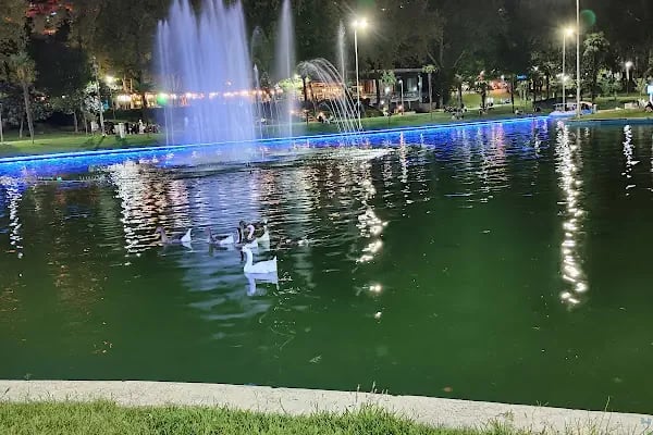 Bursa Lunapark Altınpark - Resim 16