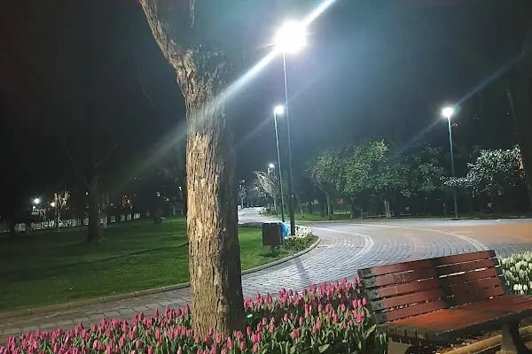 Bursa Lunapark Altınpark - Resim 18