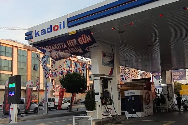 kadoil çilek petrol - Resim 2