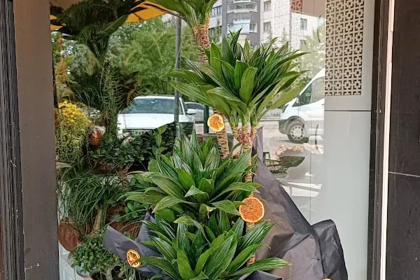 ÇAYYOLU ÇİÇEK MAĞAZASI - Resim 9
