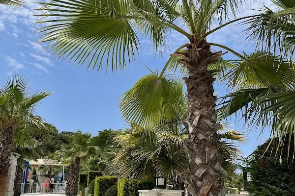 Nirvana Beach Club&amp;Cafe - Resim 10