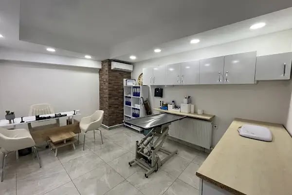 Prive Veteriner Kliniği 7/24 Küçükçekmece Sefaköy - Resim 2