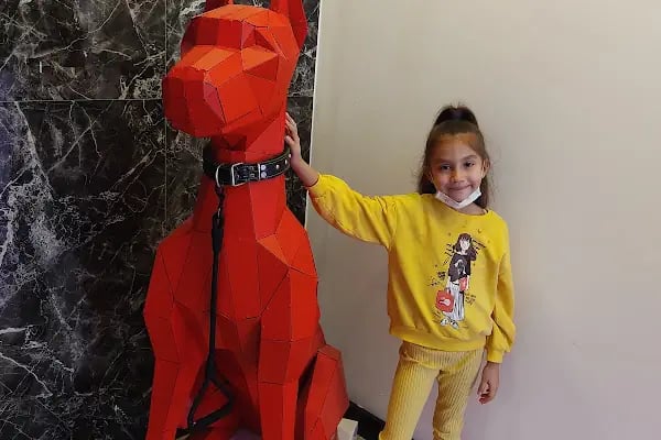 Pati Veteriner Muayenehanesi / Karaman mah.- Bursa - Resim 18