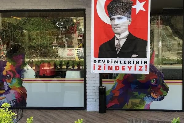 Pati Veteriner Muayenehanesi / Karaman mah.- Bursa - Resim 5