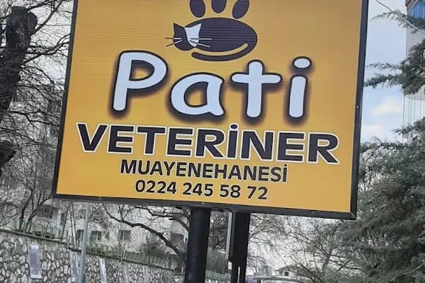 Pati Veteriner Muayenehanesi / Karaman mah.- Bursa - Resim 3