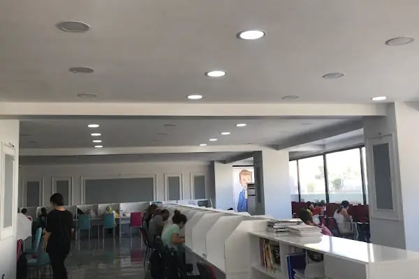 Diyarbakır Özel iskenderiye çalışma kütüphanesi - Resim 16