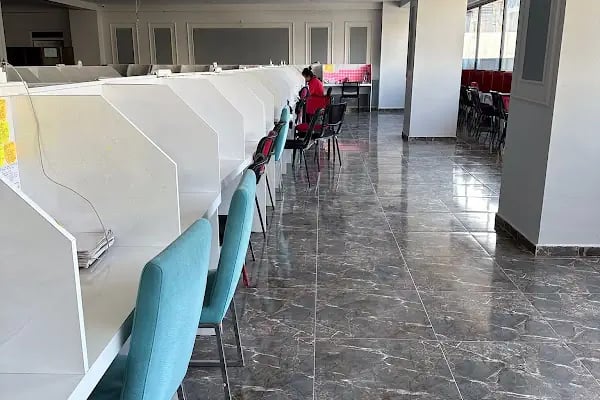 Diyarbakır Özel iskenderiye çalışma kütüphanesi - Resim 8