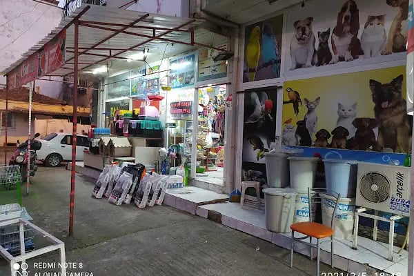 Alp Petshop Bayraklı - İZMİR - Resim 11