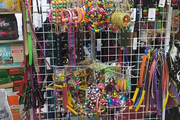 Alp Petshop Bayraklı - İZMİR - Resim 17