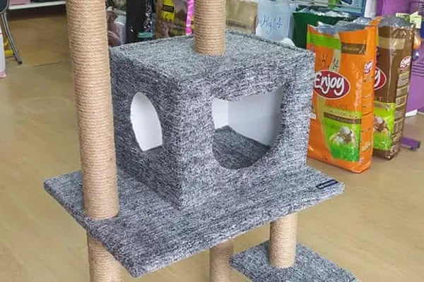 Alp Petshop Bayraklı - İZMİR - Resim 19