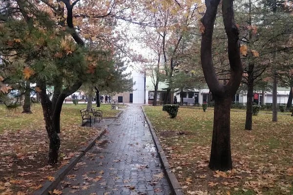Şehitler Cami - Resim 19