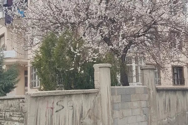 Şehitler Cami - Resim 14