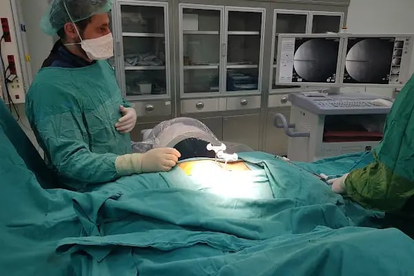 Doç. Dr. Mahmut ÖZDEMİR - Resim 3