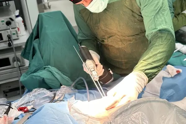 Doç. Dr. Mahmut ÖZDEMİR - Resim 4