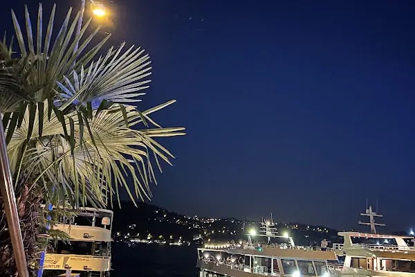 Revma Balık - Resim 10