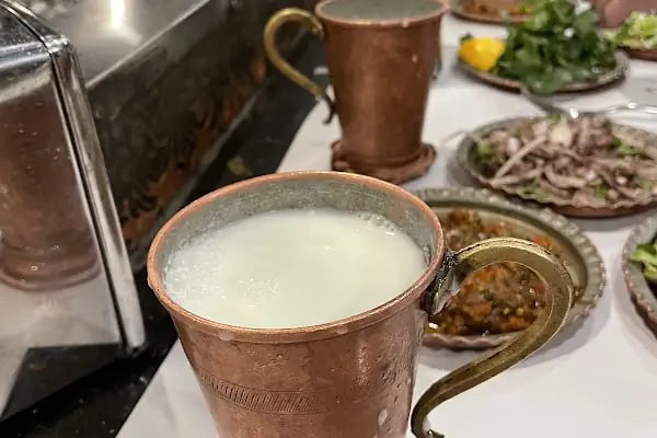 Diyarbakır Aslan Otel - Resim 7