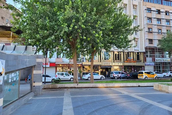 Diyarbakır Aslan Otel - Resim 13