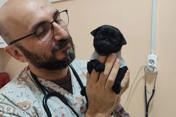 Canberk Baykal Veteriner Kliniği - Resim 5