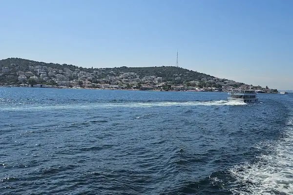 Mükemmel doğal taşçı abi - Resim 2