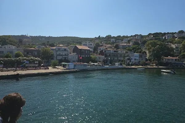 Mükemmel doğal taşçı abi - Resim 4
