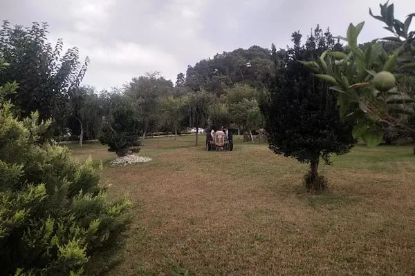 T.C. Aksu Belediye Sarayı - Resim 3