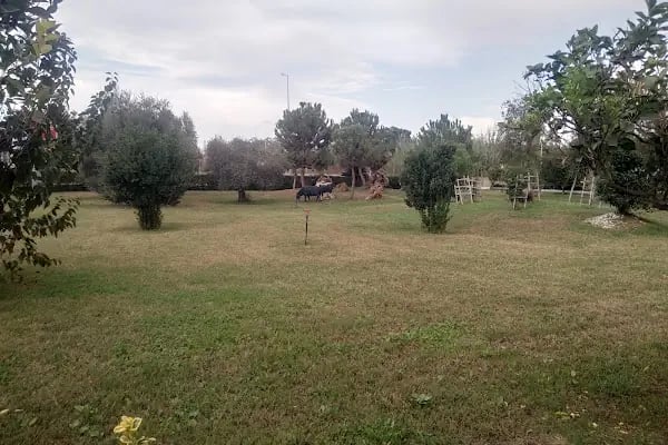 T.C. Aksu Belediye Sarayı - Resim 15
