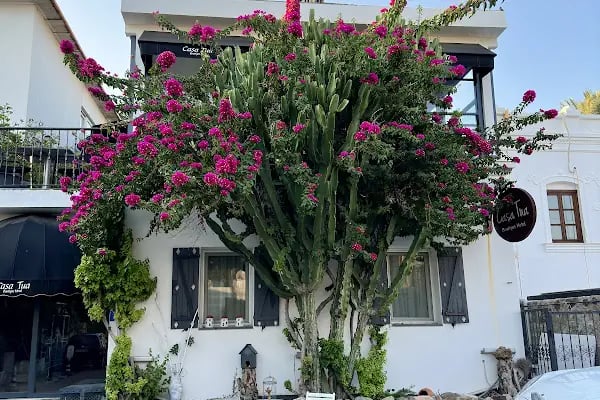 Casa Tua Boutique Hotel - Resim 2