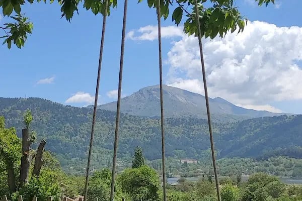 Armoni Hera Tatil Köyü &amp; Apart Otel - Resim 15