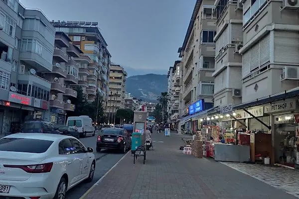 Arslanlar Gıda - Resim 16