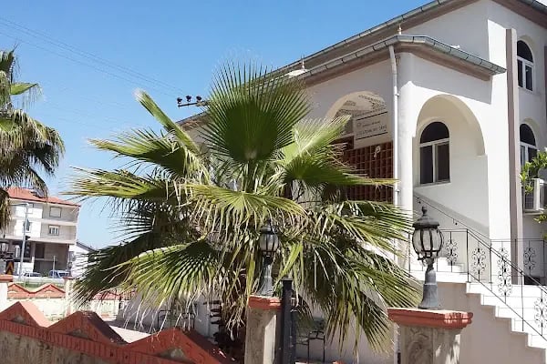 Düzlerçamı Cami - Resim 6