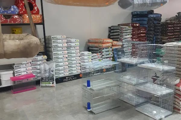 Yalçın Akvaryum & Pet Shop - Resim 20