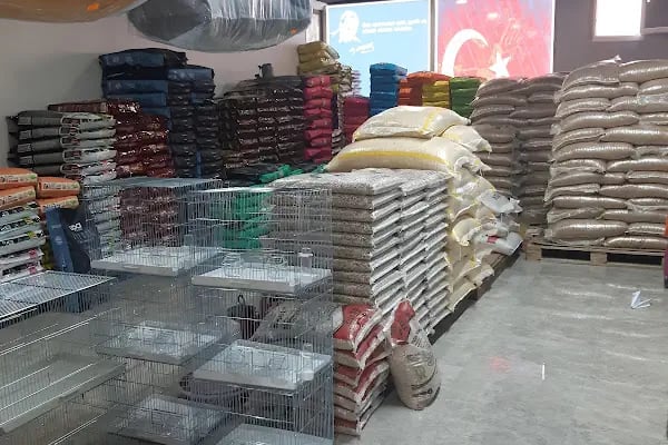 Yalçın Akvaryum & Pet Shop - Resim 14