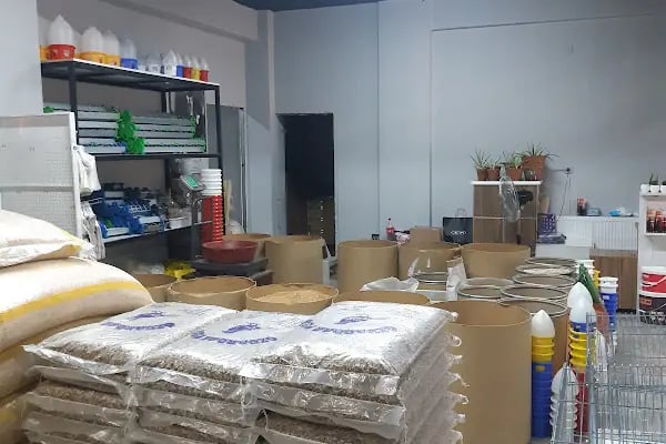 Yalçın Akvaryum & Pet Shop - Resim 7