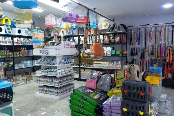 Yalçın Akvaryum & Pet Shop - Resim 18