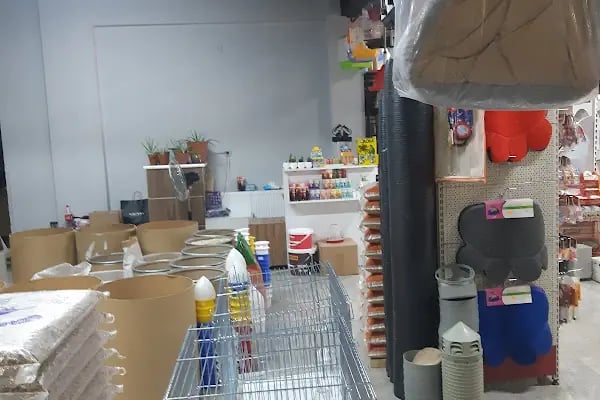 Yalçın Akvaryum & Pet Shop - Resim 17