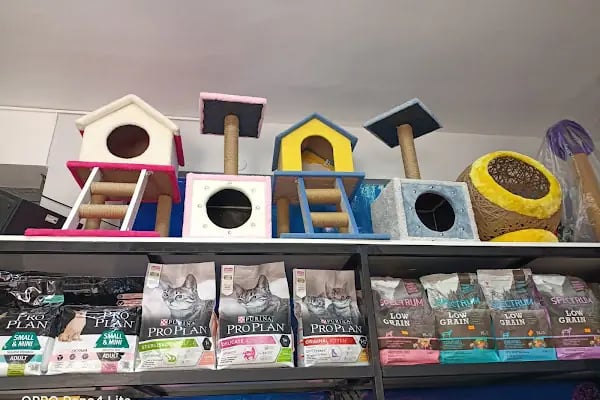 Yalçın Akvaryum & Pet Shop - Resim 8