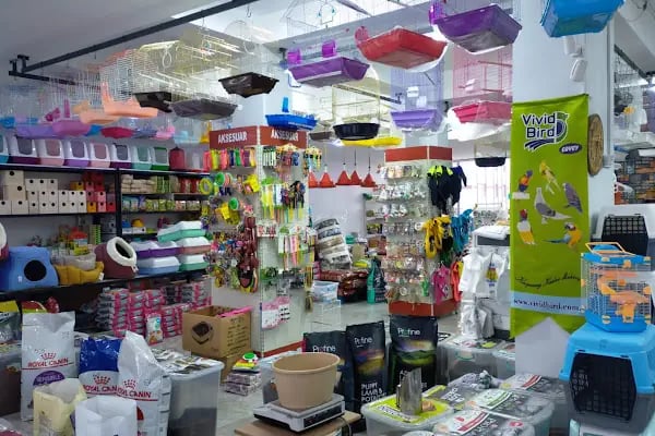 Yalçın Akvaryum & Pet Shop - Resim 12