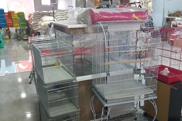 Yalçın Akvaryum & Pet Shop - Resim 16