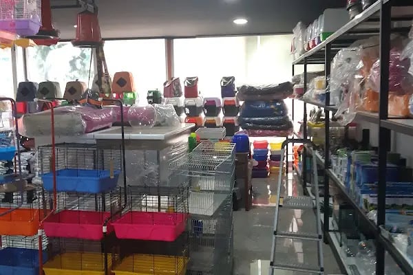 Yalçın Akvaryum & Pet Shop - Resim 4