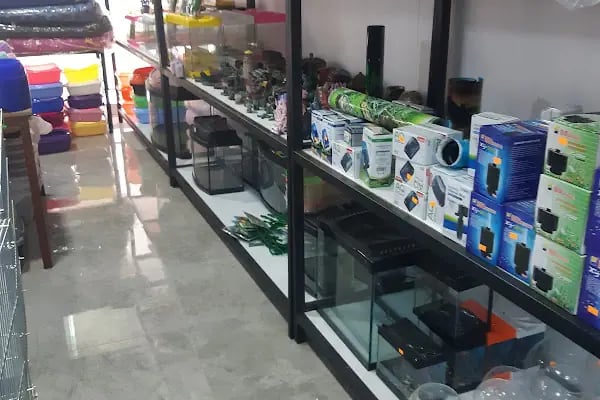 Yalçın Akvaryum & Pet Shop - Resim 10