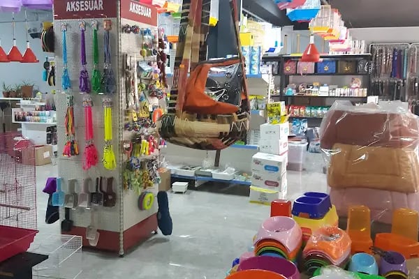 Yalçın Akvaryum & Pet Shop - Resim 3