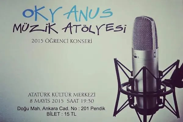 M.E.B Okyanus Sanat - Maltepe Müzik Kursu - Resim 9