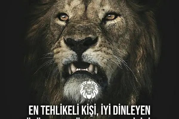 Fıtt 4 Free(ALTIN KOL SPOR KULÜBÜ ) - Resim 19
