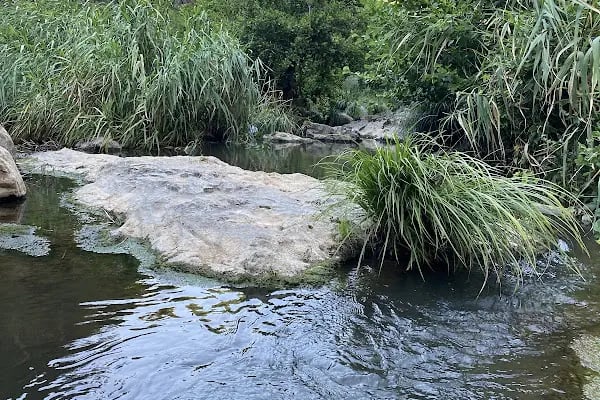 Ballıkayalar Tabiat Parkı - Resim 18